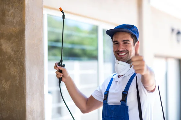 Cupertino Wasp Removal