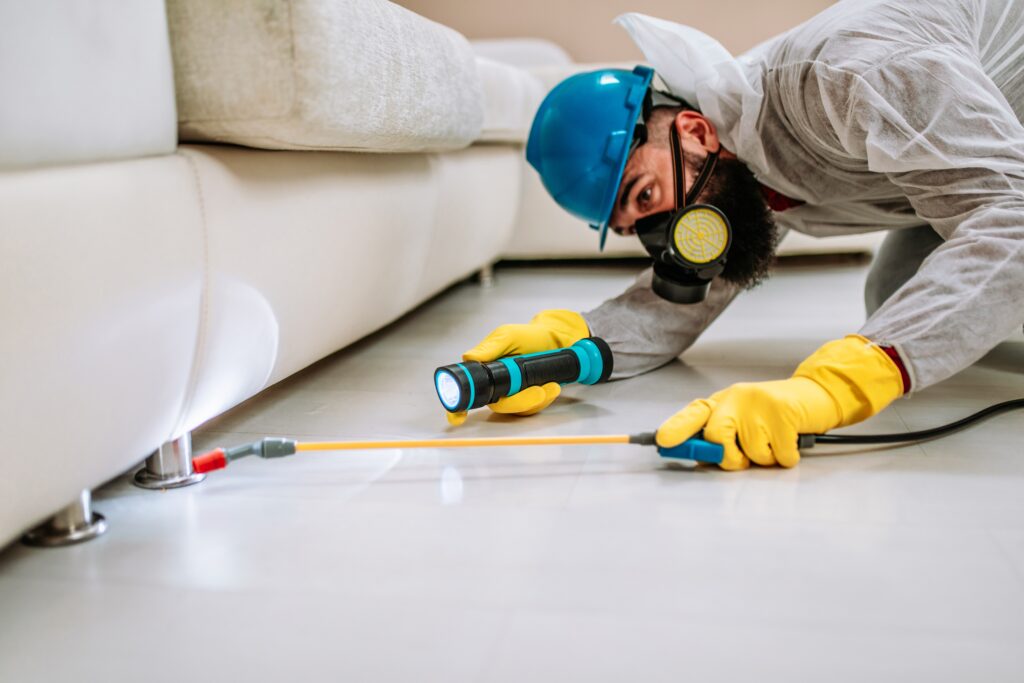 Cupertino Termite Control
