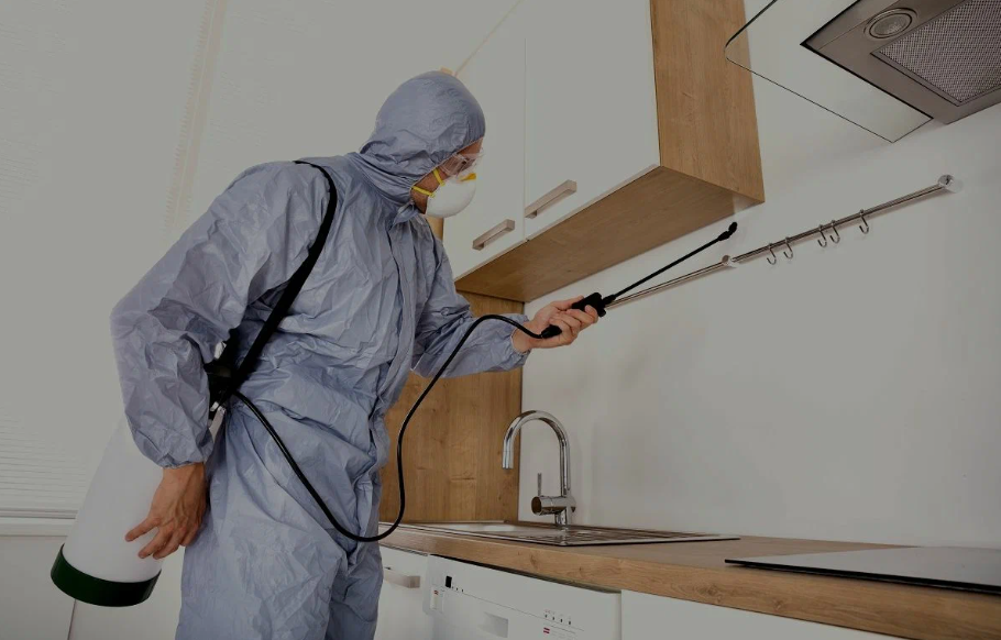 Cupertino pest managment